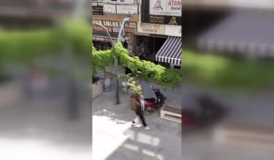 Zabıtalarla engelli kişi arasında yaşanan arbedeye ilişkin soruşturma