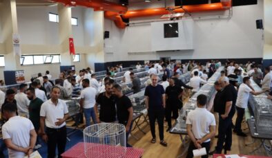 Midyat’ta Midyat-Musul Güvercin Festivali düzenlendi