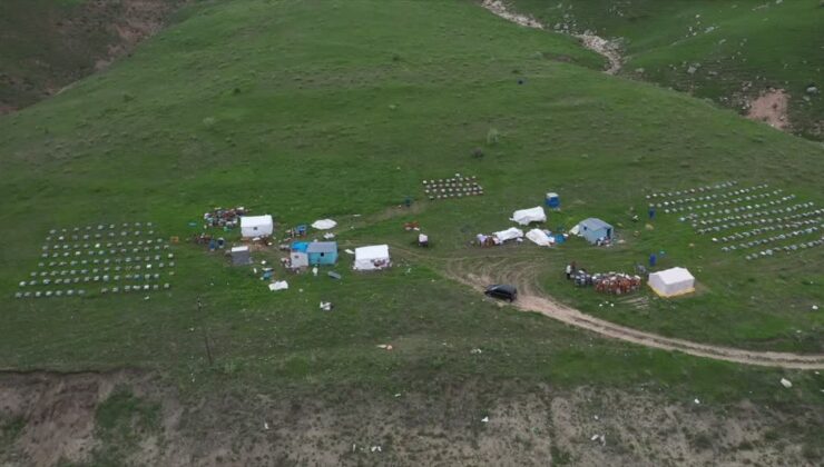Ordulu üç kardeş Ağrı’nın dağlarında omuz omuza bal üretiyor
