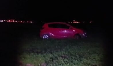Otomobilin çarptığı sürüdeki 12 koyun telef oldu, sürücü yaralandı