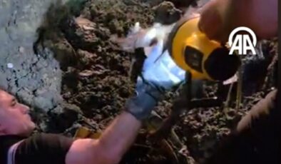 Silvan’da Kanalizasyon borusunda sıkışan kuzu kurtarıldı