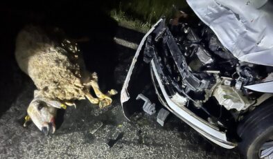 Şanlıurfa’da sürüye çarpan otomobildeki 3 kişi yaralandı