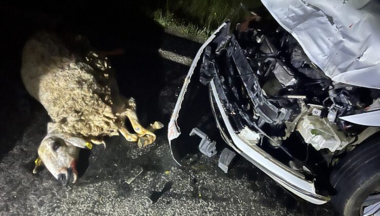 Şanlıurfa’da sürüye çarpan otomobildeki 3 kişi yaralandı