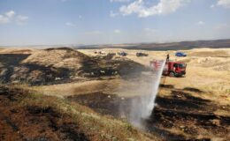 Siirt’in Gökdoğan köyünde buğday tarlası alevlere teslim oldu