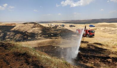 Siirt’in Gökdoğan köyünde buğday tarlası alevlere teslim oldu