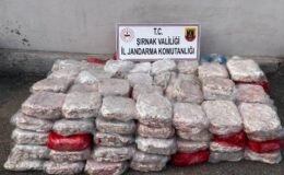 Şırnak’ta motorin, sigara ve et kaçakçılığına darbe indirildi