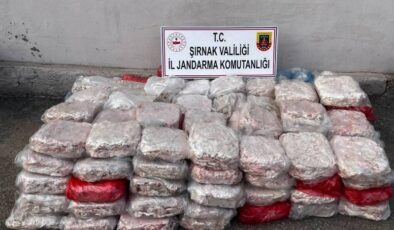 Şırnak’ta motorin, sigara ve et kaçakçılığına darbe indirildi
