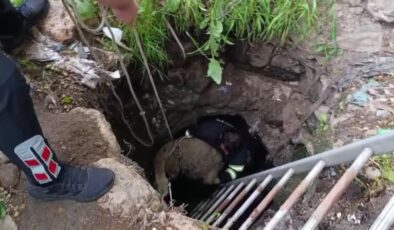 Diyarbakır’da su kuyusuna düşen koyun kurtarıldı
