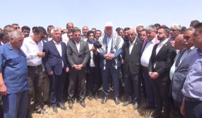 TZOB Genel Başkanı Bayraktar, kuraklıktan etkilenen tarlaları inceledi
