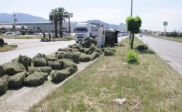 Takla atan kamyonetin sürücüsü yaralandı