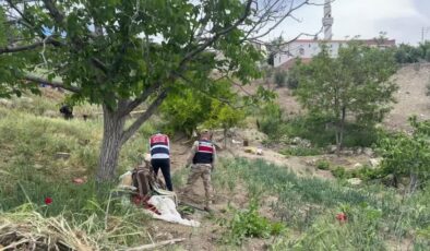 Tarlaya giden kadın gölete düştü, hayatını kaybetti