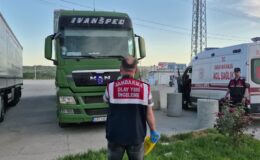 Tır sürücüsü aracında ölü bulundu