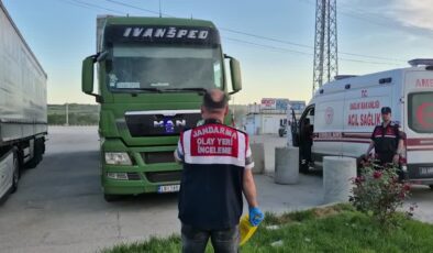 Tır sürücüsü aracında ölü bulundu