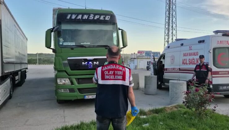 Tır sürücüsü aracında ölü bulundu