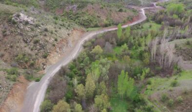 Türk ve Amerikalı bilim insanları 6 yeni sülük türü keşfetti
