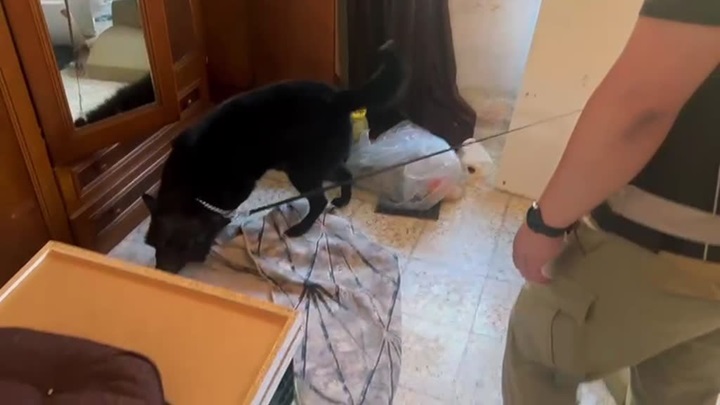9 kilo 442 gram sentetik uyuşturucu ele geçirildi