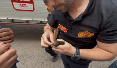 Ders Beden Eğitimi’ydi, ‘İyilik’ Oldu: Boynuna ip dolanan kırlangıcı itfaiye kurtardı