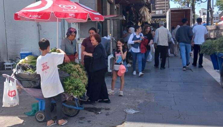 Geçim Kaynakları Hevsel Bahçeleri: Ürünlerini Sur’da satıyorlar