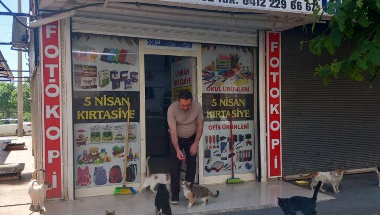 Kırtasiyecinin hayvan sevgisi takdir topluyor