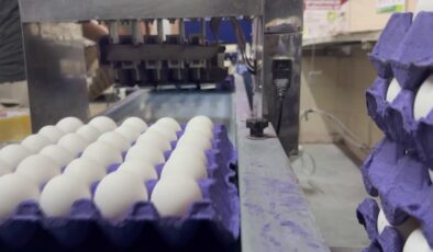 YUM-BİR Başkanı yumurta fiyatlarını düşürmeyen marketlere tepki gösterdi