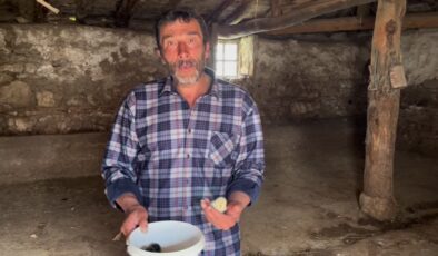 Kuluçkadan çıkan civciv şaşkınlık yarattı: 4 ayağı var