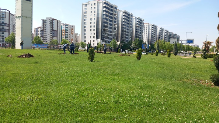 Büyükşehir Kavşaklarda Ağaçlandırma Çalışması Yürütüyor