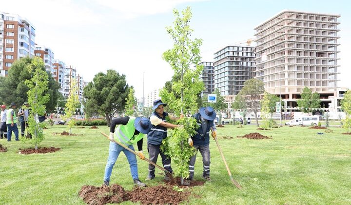 Diyarbakır’da Ağaçlandırma ve Peyzaj Çalışmaları hız kazandı