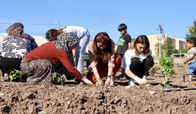 Bağıvar’da Kadın Komün Bostanı Kuruldu
