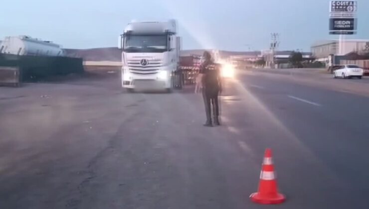 Durdurulan tırda 2 bin 70 paket gümrük kaçağı sigara ele geçirildi