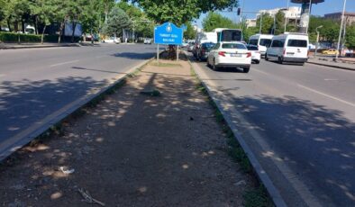 Refüj Alanları Bakımsızlıktan Kurudu