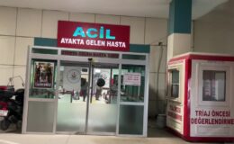 Korkunç olay: Oğlunun bıçakladığı kadın öldü