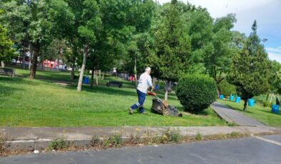 Büyükşehir Belediyesi Park Alanlarında Çalışma Gerçekleştirdi