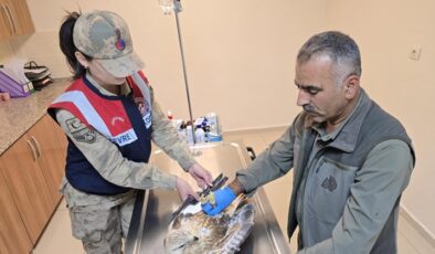 Şanlıurfa’da yaralı bulunan kartal tedavi altına alındı