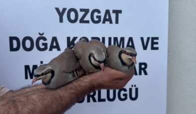18 yılda 216 bin kınalı keklik üretildi