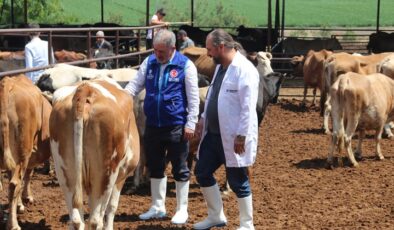 TDV, 4 bin 25 kurban hissesinin etini ihtiyaç sahiplerine ulaştıracak