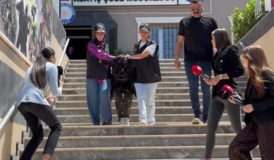 Beşiktaş’ta erkek arkadaşını öldüren kadın adliyeye sevk edildi