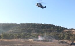 Aliağa ve Foça’daki yangın havadan karadan söndürülüyor