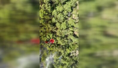 Antalya’da çıkan orman yangınına hava ve kara müdahalesi