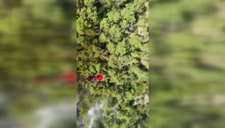 Antalya’da çıkan orman yangınına hava ve kara müdahalesi
