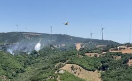 Arazide başlayan yangın ormana sıçradı, müdahale sürüyor