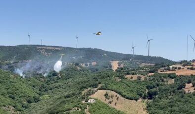 Arazide başlayan yangın ormana sıçradı, müdahale sürüyor