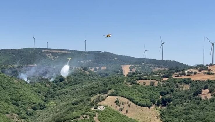 Arazide başlayan yangın ormana sıçradı, müdahale sürüyor