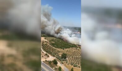 Aydın Didim’de makilik alanda çıkan yangına havadan müdahale