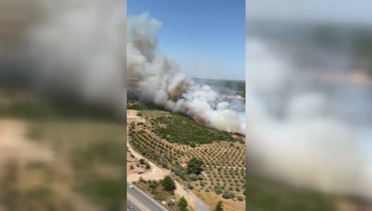 Aydın Didim’de makilik alanda çıkan yangına havadan müdahale