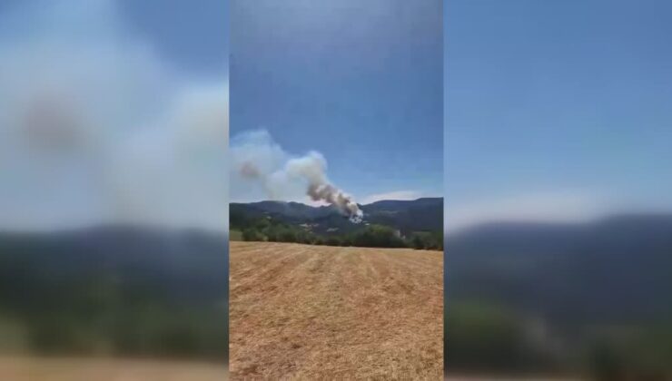 Bolu’da ormanda çıkan yangın 7 saat süren çalışmayla söndürüldü