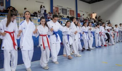 Çermik’te düzenlenen karate turnuvası halayla sona erdi