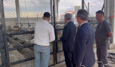Çiplendirilen 2 bin 500 sahipsiz köpeğe kuduz aşısı yapıldı