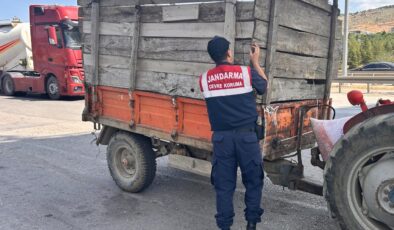 Diyarbakır’da jandarmadan kurbanlık denetimi