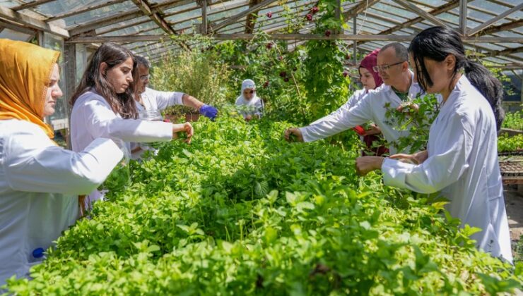 Diyarbakır’da kadınlar ürettikleri sabunlarla hikayelerini dünyaya duyuracak