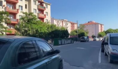 Ege Denizi’nde 4,6 büyüklüğünde deprem
